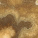 Brązowy Onyks Frappucino - kamień naturalny który można podświetlić - wzór